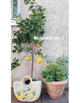 Panier "Limoncello"